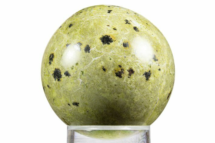 Polished Lizardite With Hematite Sphere #342314